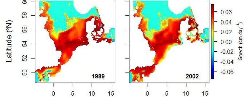 Deze habitatkaart van de Noordzee voor jonge schol (zo’n 25 cm groot) laat zien dat sinds 1989 de kustzones van rood (= hoge potentiële groeisnelheid jonge schol) naar geel (= lage groeisnelheid) en lokaal naar groenblauw (= negatieve groeisnelheid) zijn verkleurd. Het recent ontwikkelde model toont aan dat de kustzones vanaf 2002 een ongeschikte habitat is voor jonge schol van deze grootte.