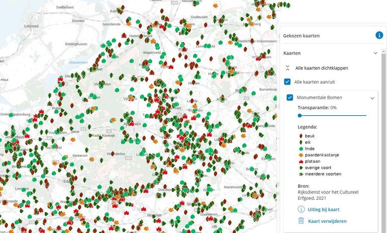 Monumentale bomen-kaart: Hoeveel bijzondere bomen kent jouw omgeving?