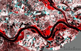 Groenmonitor.nl satellietfoto van 8 januari. De rode gebieden langs de rivieren zijn overstroomd