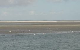 Cor Smit Roggenplaat Oosterschelde Cor Smit