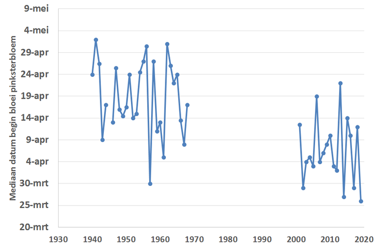 Mediaan van de bloeiwaarnemingen in de jaren 1940 tot en met 1968 en van 2001 tot en met 2019. 2019 is nog een voorlopige schatting