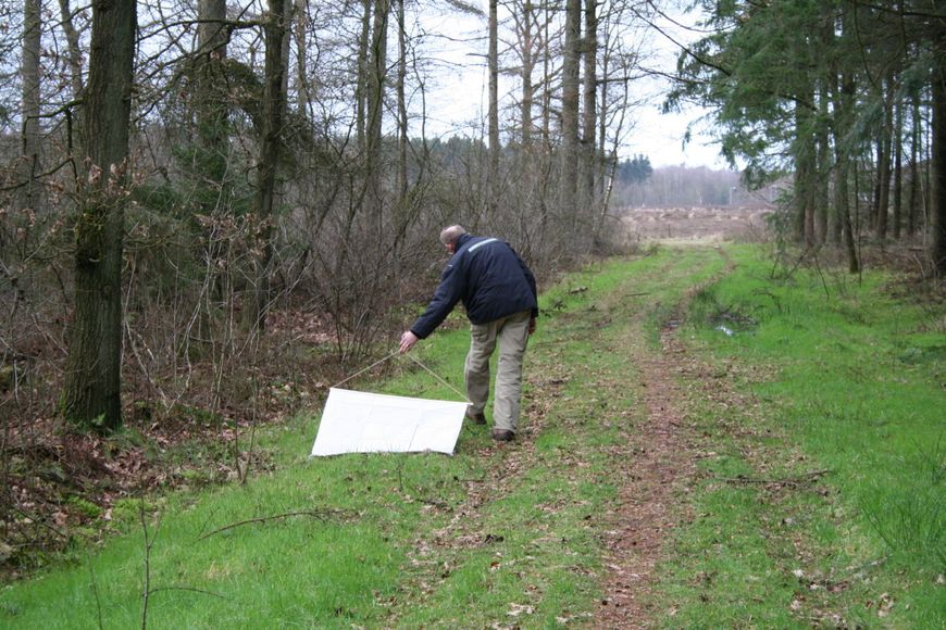 Arnold van Vliet Teken vangen Roel Bron De Natuurkalender