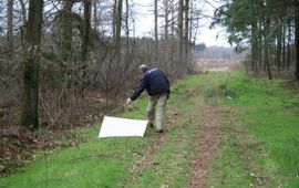 Arnold van Vliet Teken vangen Roel Bron De Natuurkalender