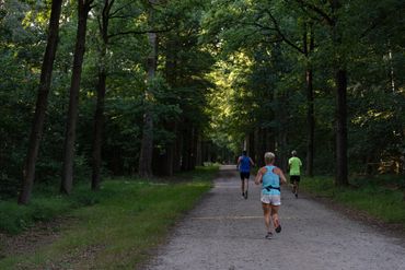 Sporten in Brabants bos