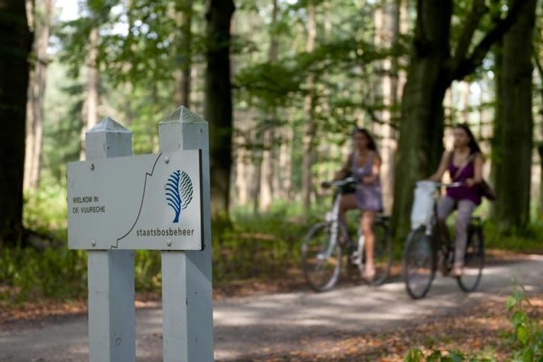 Fietsers in het bos bij Lage Vuursche