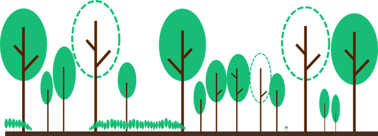 Bij uitkapbeheer worden tijdens oogstrondes bomen gekapt die hun beoogde omvang bereikt hebben en tegelijkertijd gedund om de bosontwikkeling te sturen en specifieke bomen extra ruimte te geven