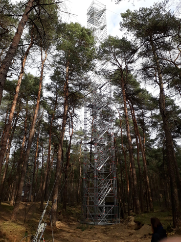 De meettoren in Loobos