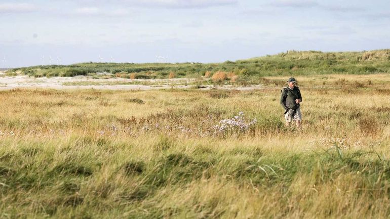 Jaap Kloosterhuis: “Als we niet weten hoe mensen de vogeltrek beïnvloeden, kunnen we er ook geen rekening mee houden”