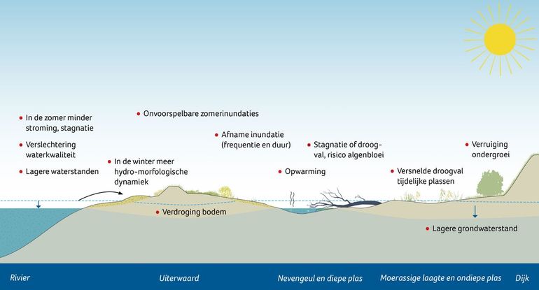 Effecten van klimaatverandering op riviernatuur