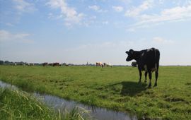 Natuur en Milieu Overijssel Veenweide
