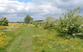 Kars Veling Everdingerwaard - primair