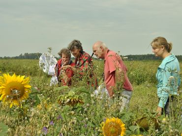 Dankzij de inspanningen van vrijwilligers konden op verschillende Groninger Vogelakkers moshommels worden vastgesteld