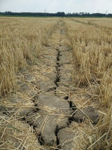 Krimpscheuren op een perceel in Flevoland