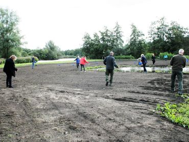 Inzaaien in het Goudse Hout