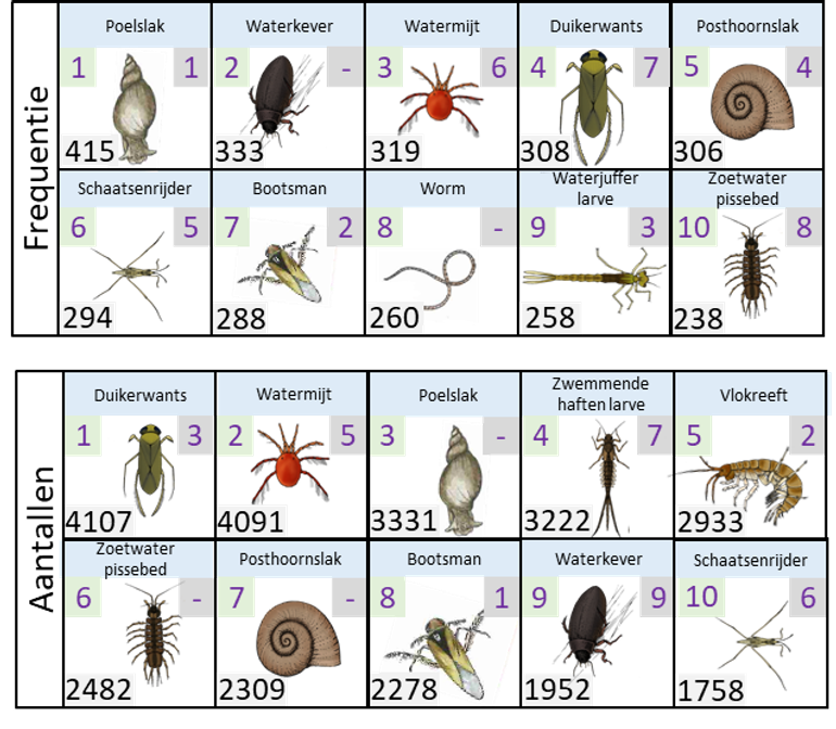 Overzicht van de tien soorten die op de meeste plekken zijn aangetroffen (frequentie) en de Top 10 van soorten met de meeste individuen (aantallen), waarbij de watervlo-achtigen buiten beschouwing zijn gelaten. Per soort is het rangnummer in 2020 (linksboven) en 2019 (rechtsboven) weergegeven. Het getal linksonder geeft het aantal locaties waar de soort is waargenomen (frequentie) of het totaal aantal individuen (aantallen)