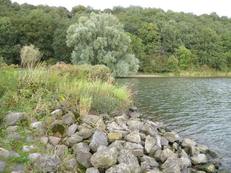 De oever van de Nederrijn op een meetpunt bij de Grebbeberg, Rhenen