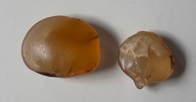 Brachiopoden van chalcedoon zijn bekend, maar zeldzaam. Bij doorvallend licht zijn zelfs spierindrukken van het schelpdier en delen van het slot te zien