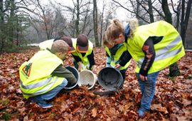 padden overzetten