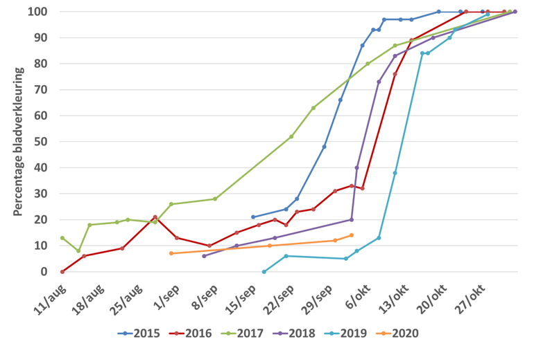 Verloop van het percentage verkleurde bladeren van een witte paardenkastanje achter het Gaia gebouw van Wageningen University in de jaren 2015 tot en met 3 oktober 2020. Rechterboom in onderstaande GrowApp serie