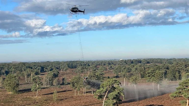 Om kalk aan de bodem toe te voegen, is steenmeel over de heide van noordelijke Maasduinen uitgestrooid