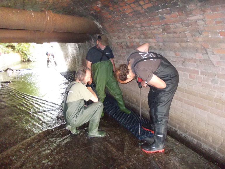 Installatie van een aalgoot door de Zoological Society of London en vrijwilligers in de Thames region, hiermee kunnen alen geteld worden en kunnen ze de barrière passeren