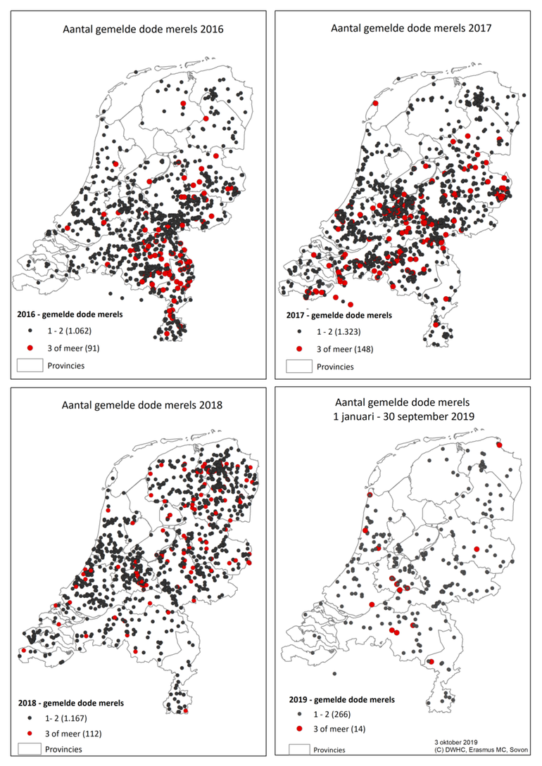 Figuur 2: Geografische weergave van de gemelde dode merels in 2016, 2017,2018 en 2019 (1 januari t/m 30 september). In 2016 zijn meer dan 2000 meldingen binnengekomen, maar van ongeveer 900 meldingen ontbreken de x,y coördinaat. Deze kunnen dus niet op de kaart worden weergegeven.