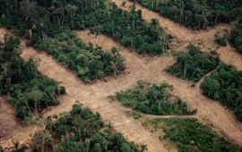 Staffan Widstrand WWF