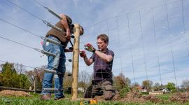 Plaatsen van veebeschermend raster bij Yuverta Velp