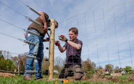 Plaatsen van veebeschermend raster bij Yuverta Velp