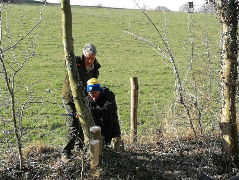 Beheer is samenwerken