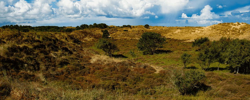 Duinlandschap Terschelling (beeld in overleg te gebruiken, contact communicatie.esg@wur.nl)