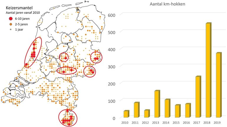 Kaartje met aantal jaren, vanaf 2010 dat keizersmantels zijn gezien in 5x5 km-hokken en het aantal km-hokken met waarnemingen