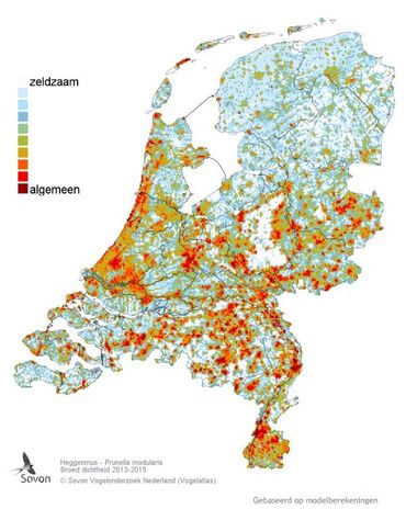 Dichtheid broedvogels Heggenmus