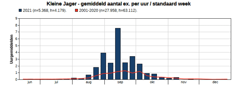 Uurgemiddelden per week van kleine jager op Nederlandse zeetrekposten in najaar 2021 (blauwe staven) en in 2001-2020 (rode lijn)