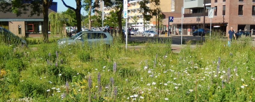 Stadsnatuur - primair