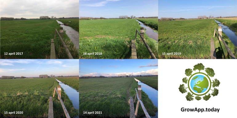 Verschil in ontwikkeling gras in weiland in Bennekom tussen de jaren 2017 tot en met 2021
