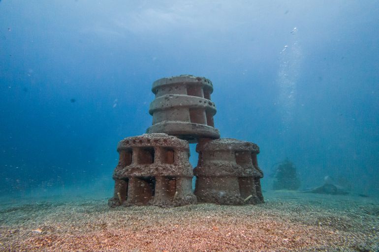 Moreef modules can be stacked, creating a large more complex artificial reef