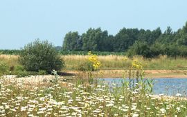 Albert Vliegenthart winlocatie Cascade