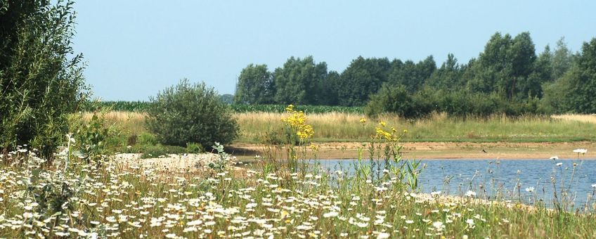 winlocatie Cascade