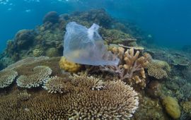 WWF Vincent Kneefel Plastic in zee