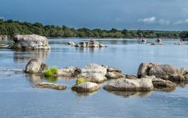 Frank Weitzer, African Parks Kafue National Park, Zambia