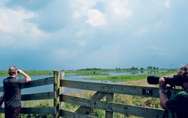 Natuurliefhebbers spotten bijzondere vogelsoorten in het Doove Gat bij Haastrecht