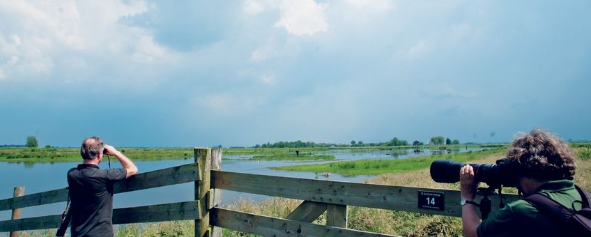 Natuurliefhebbers spotten bijzondere vogelsoorten in het Doove Gat bij Haastrecht