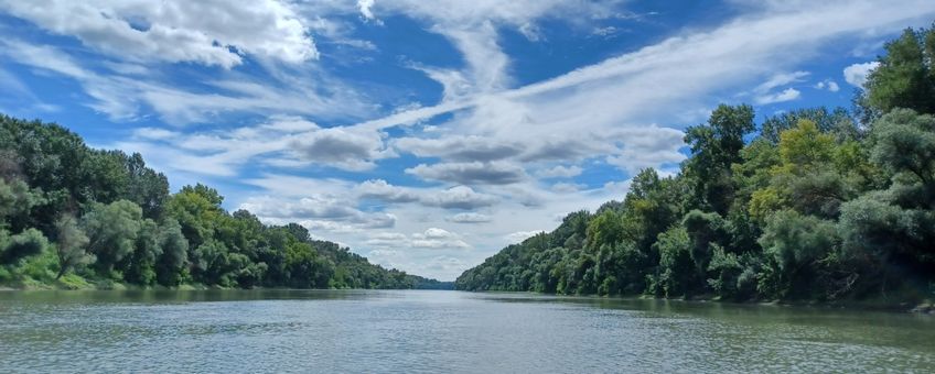 Tisza rivier Hongarije