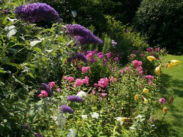 De helft(!!) van de tuinenbezitters blijkt gif te gebruiken