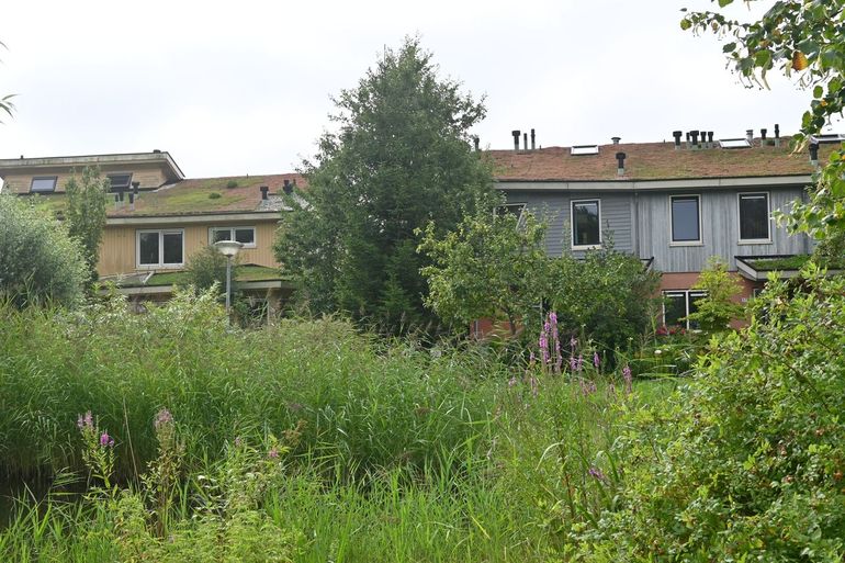 Nieuwbouw in een groene omgeving