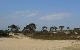 Aekingerzand, Nationaal Park Drents-Friese Wold