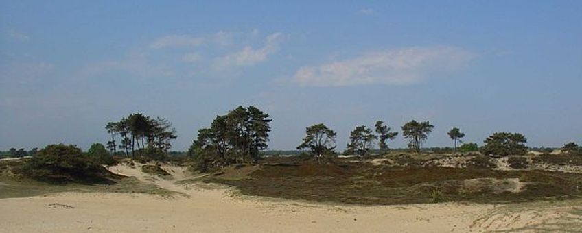 Aekingerzand, Nationaal Park Drents-Friese Wold