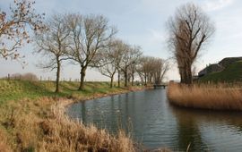 Arno Boesveld Biotoop zeggekorfslak
