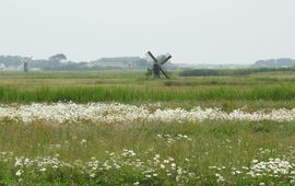 Polder Waal en Burg, Texel